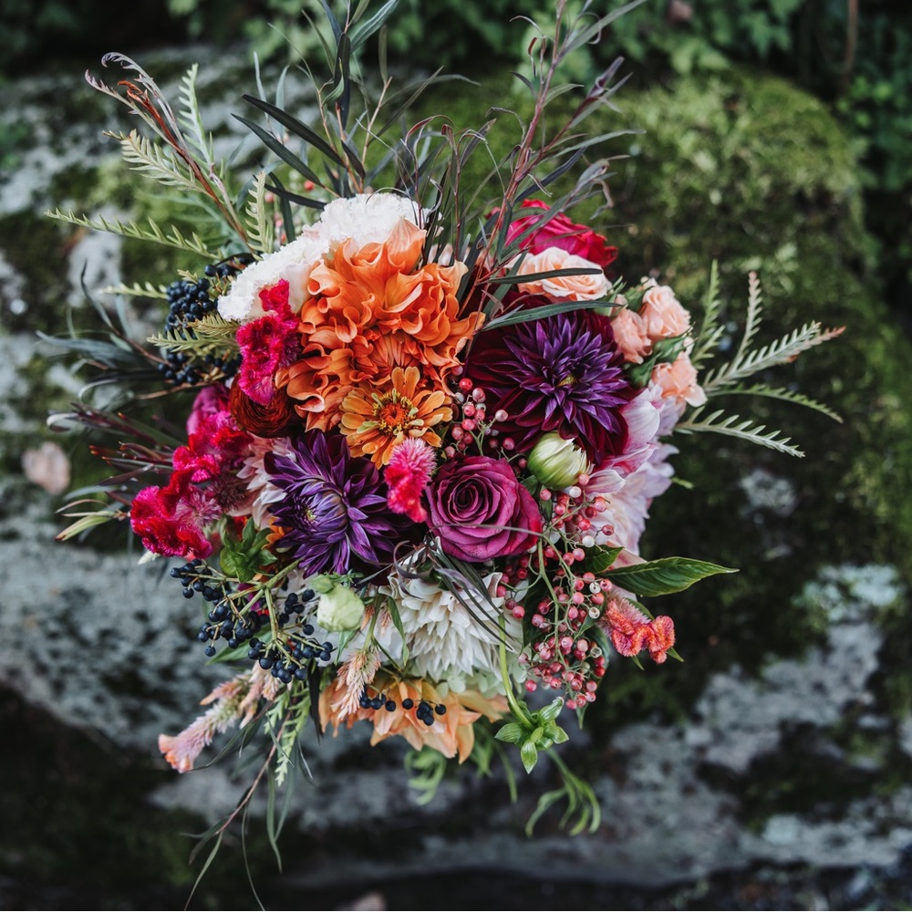 Meet your Posher, KB!